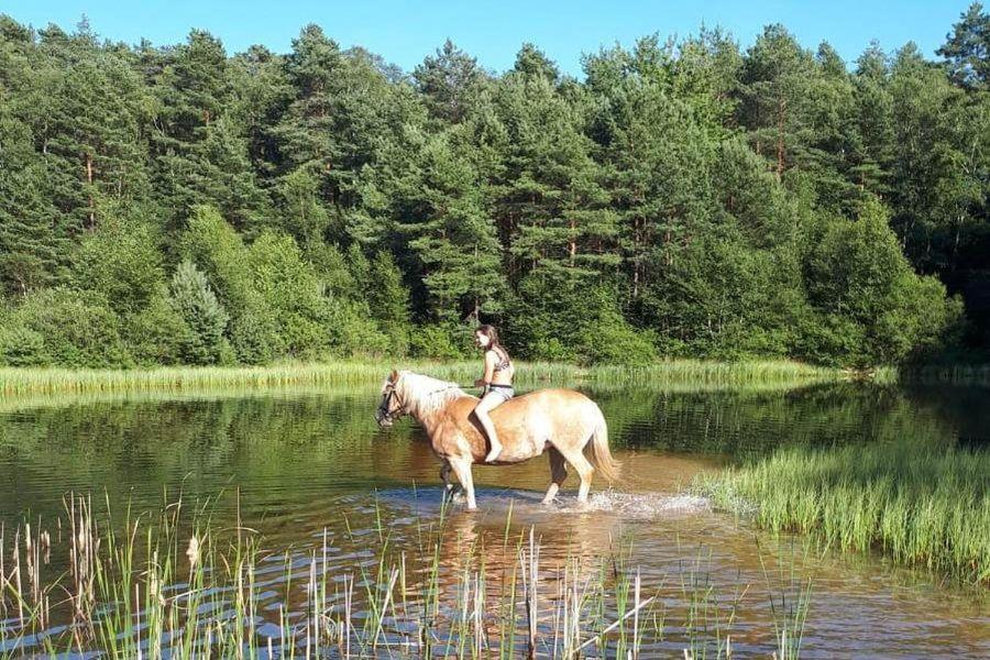 Schroederhof Lägenhet Unterluss Exteriör bild
